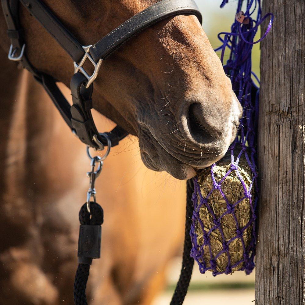 Forage Feeding Methods The Options, Pro’s & Con’s Naylors Blog