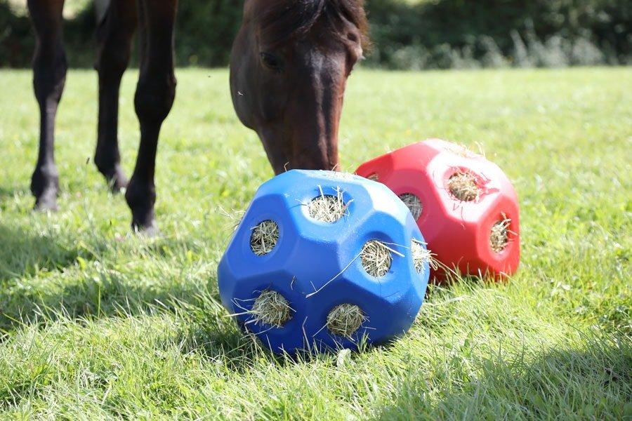 Forage Feeding Methods – The Options, Pro’s & Con’s - Pro's