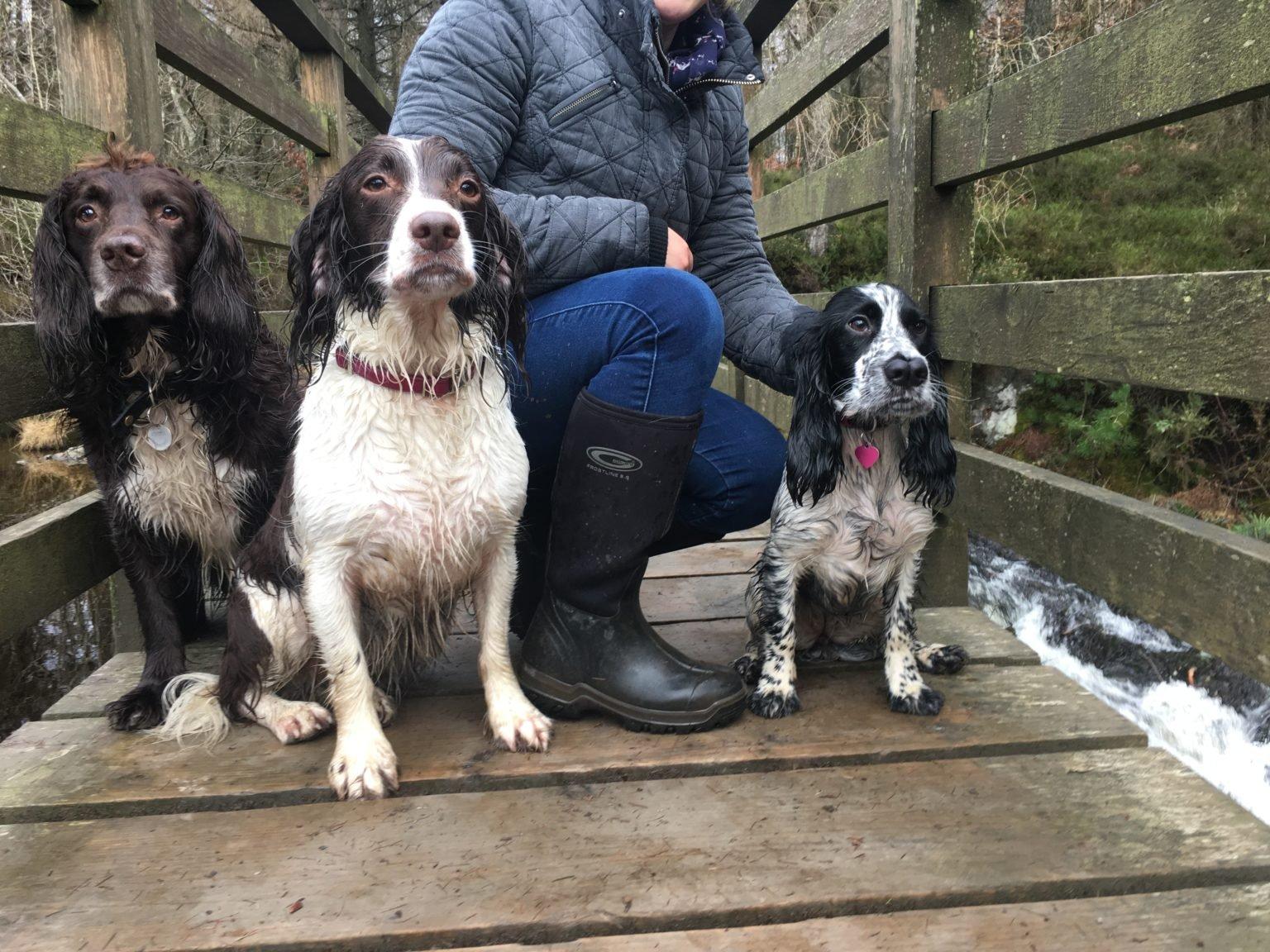 Grubs Wellies – Find Your Style