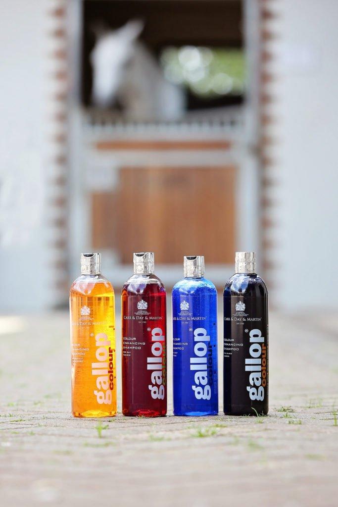 Horse Clipping Which Clip Is Right For Your Horse Naylors Blog