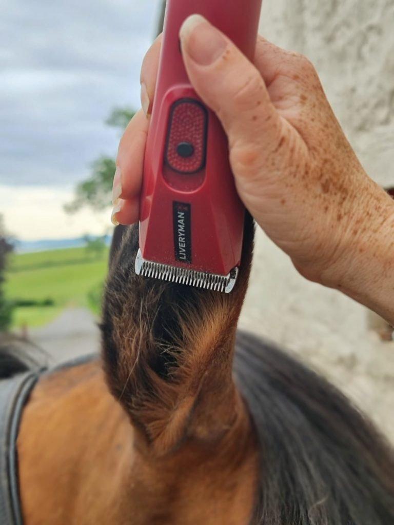 Horse Clipping Which Clip Is Right For Your Horse Naylors Blog