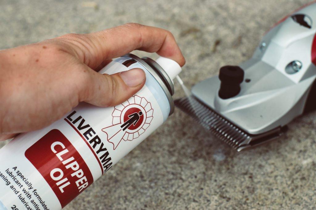 Horse Clipping Which Clip Is Right For Your Horse Naylors Blog