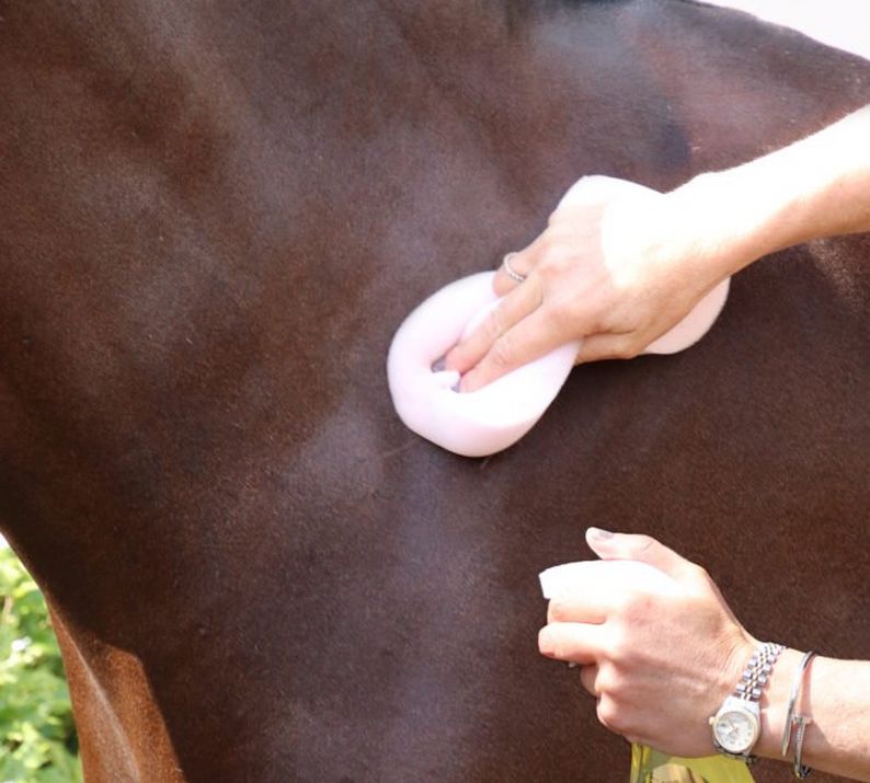 Clipping Aftercare