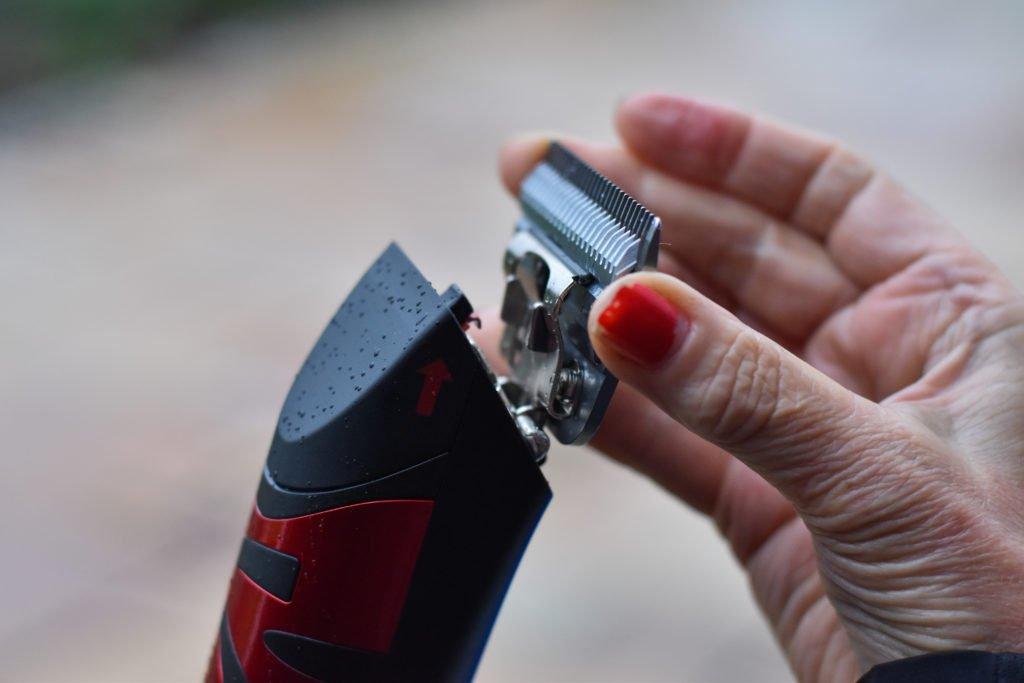 Horse Clipping Which Clip Is Right For Your Horse Naylors Blog