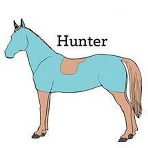 Hunter Clip - All body hair is removed bar a saddle-shaped patch. Traditionally legs are left unclipped.