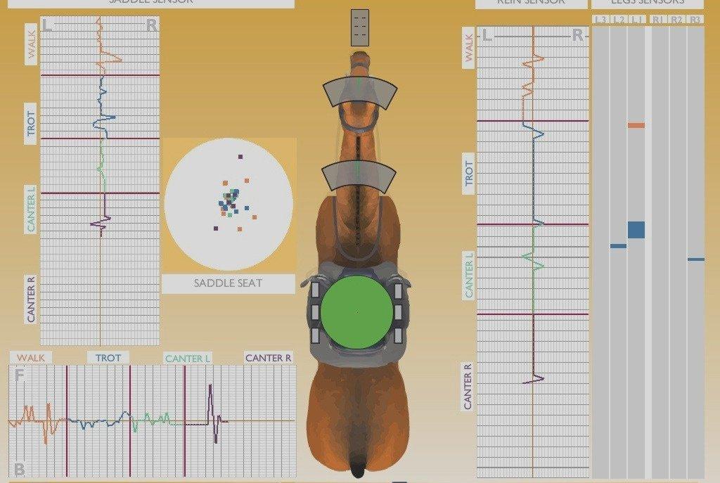 Horse Riding Simulator New To Our Rochdale Store Naylors Blog Naylors