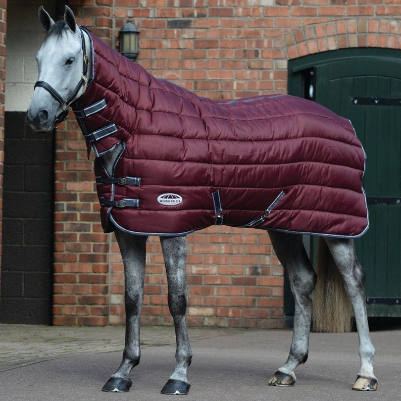 Our Top Pick: WeatherBeetaComFiTec 210D Heavy Weight Combo Stable Rug