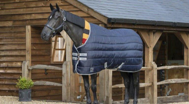 Horse Rugging The Winter Edit – Your Questions Answered