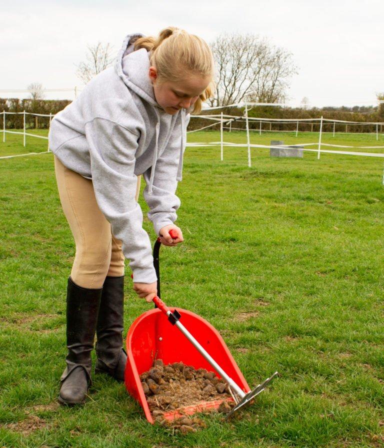 Horsey Half Term Boredom Busters Our Guide Naylors Blog Naylors