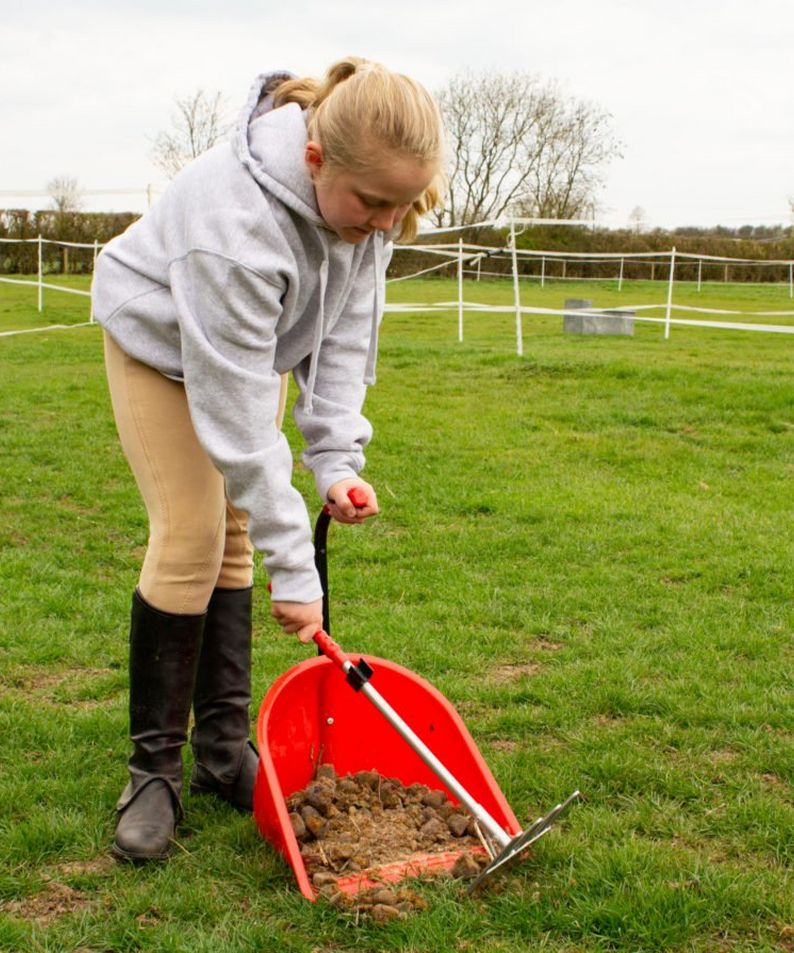 Horsey Half Term Boredom Busters – Our Guide - Paddock Poo Picking