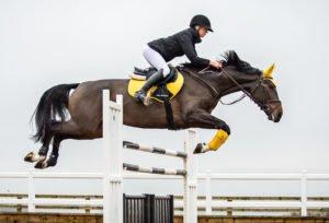 International Women’s Day – Inspiring Equestrians - Ellen Whitaker