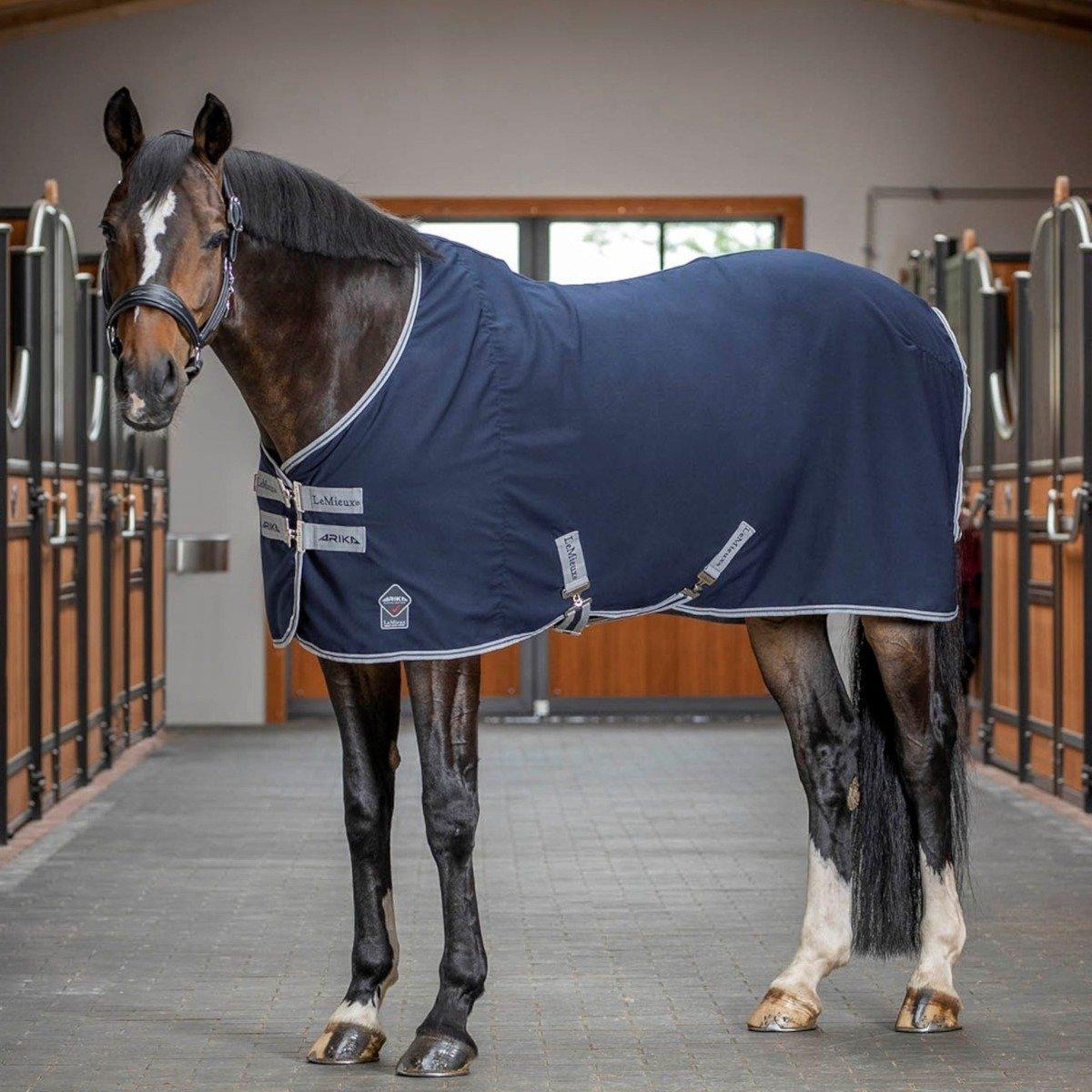 LeMieux Arika – Leading The Rug Revolution - Stable Sheet