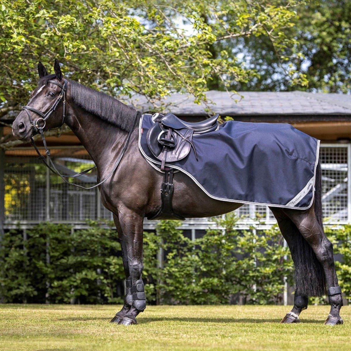 LeMieux Arika – Leading The Rug Revolution - Exercise Sheet