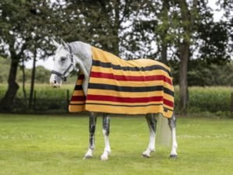 LeMieux Woollen Blankets. 3 Reasons You Need One. - Rugging Up