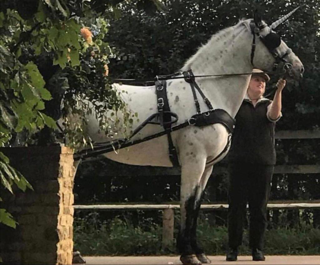 Naylors At Go Outdoors Kidderminster Store! Naylors Blog Naylors