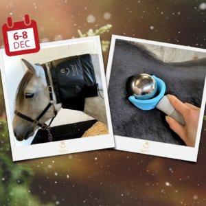 Epiony Heat Pad & Massage Ball Bundle
