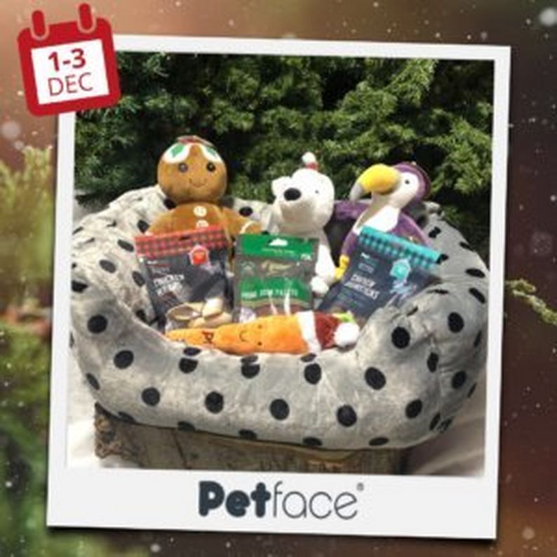 Petface Dog Bed, Toy & Treats Bundle