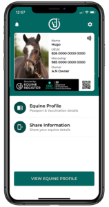 New Horse, New Needs! What? When? How? Naylors Blog Naylors