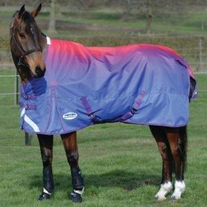 New Horse, New Needs! What? When? How? Naylors Blog Naylors