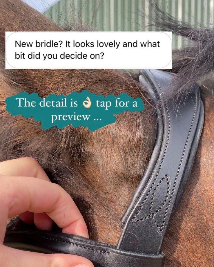 Velociti Bridle Details