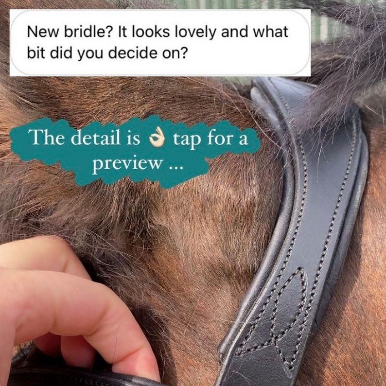 Velociti Bridle Details