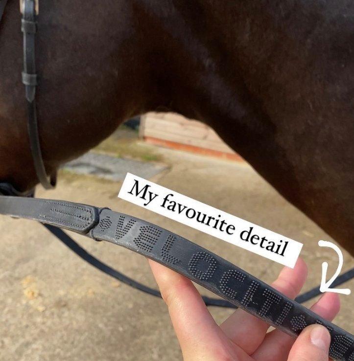 Velociti Bridle Reins