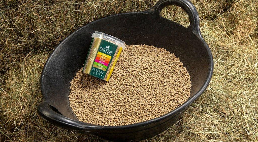 Spring Turnout – Your Questions Answered - Sugar Intake