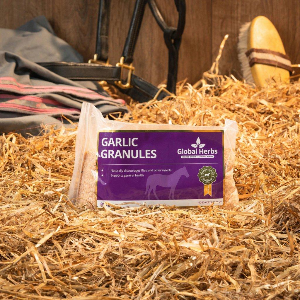 Gallop Medicated Shampoo