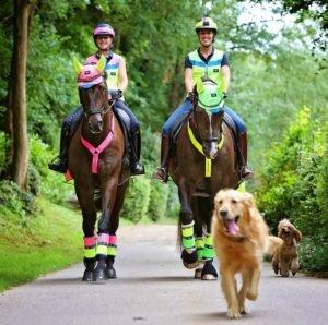 The Highway Code For Horse Riders Naylors Blog Naylors