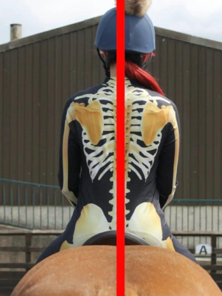 The Rider Refiner Horse Simulator Demo Rochdale Naylors Blog Naylors