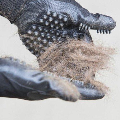 HandsOn Grooming Gloves Grooming