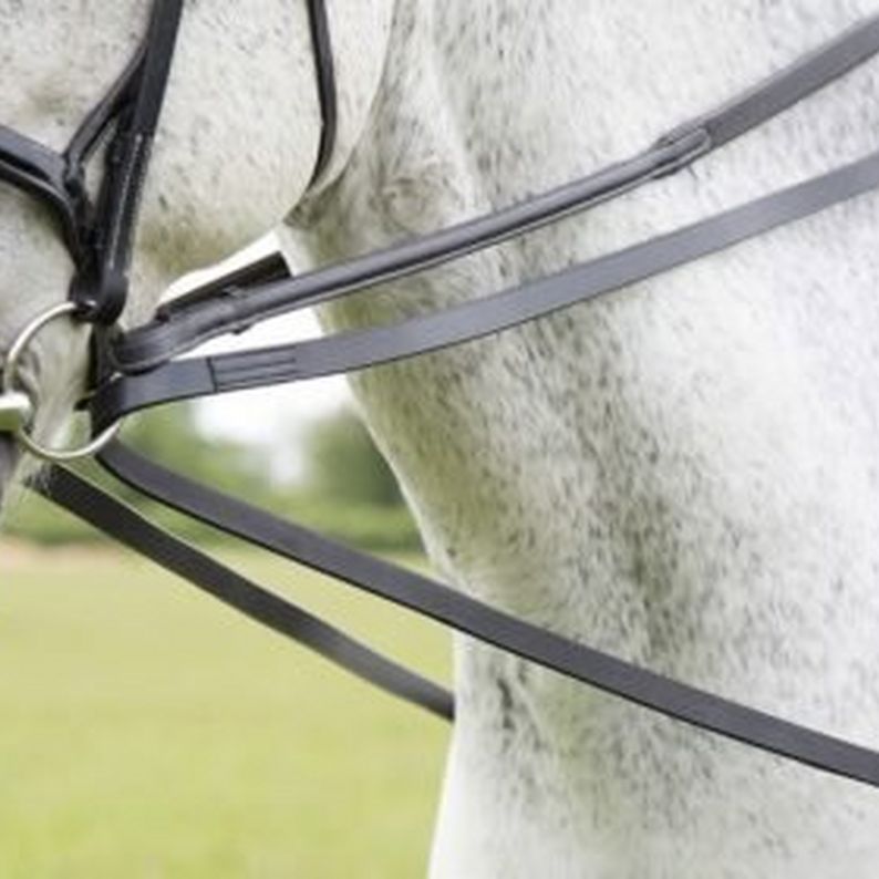 Draw Reins – The Truth About Training Aids | Naylors Blog | Naylors