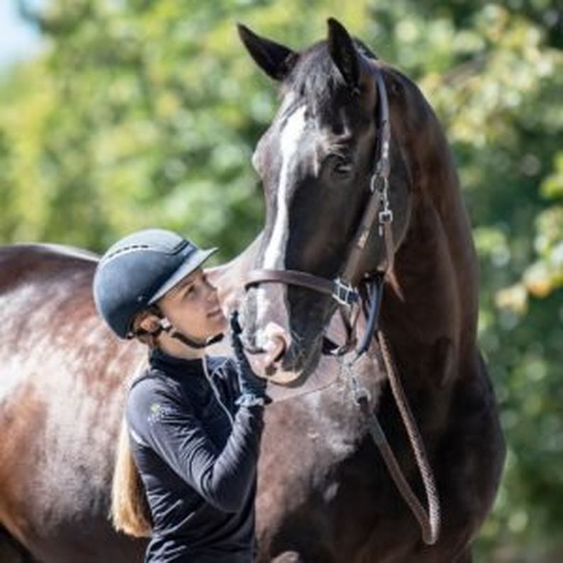 Equilibrium Stellar Headcollar and Leadrope