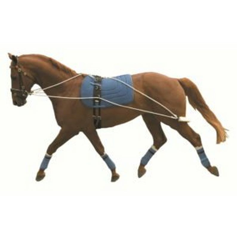 Kincade Lunging Systems