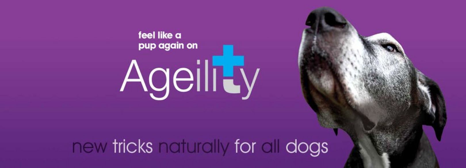 Natural VetCare Ageility