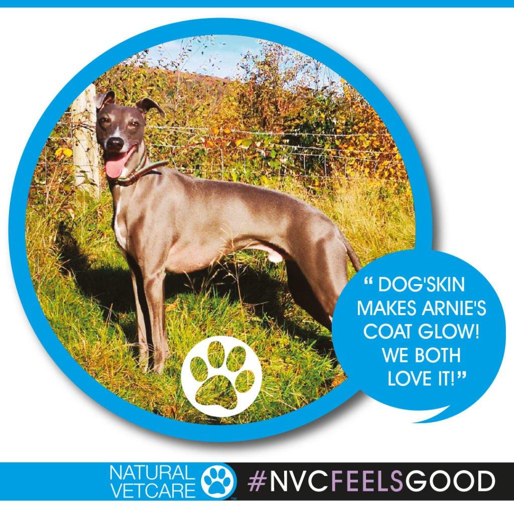 Natural VetCare Supplements For Dogs Naylors Blog Naylors