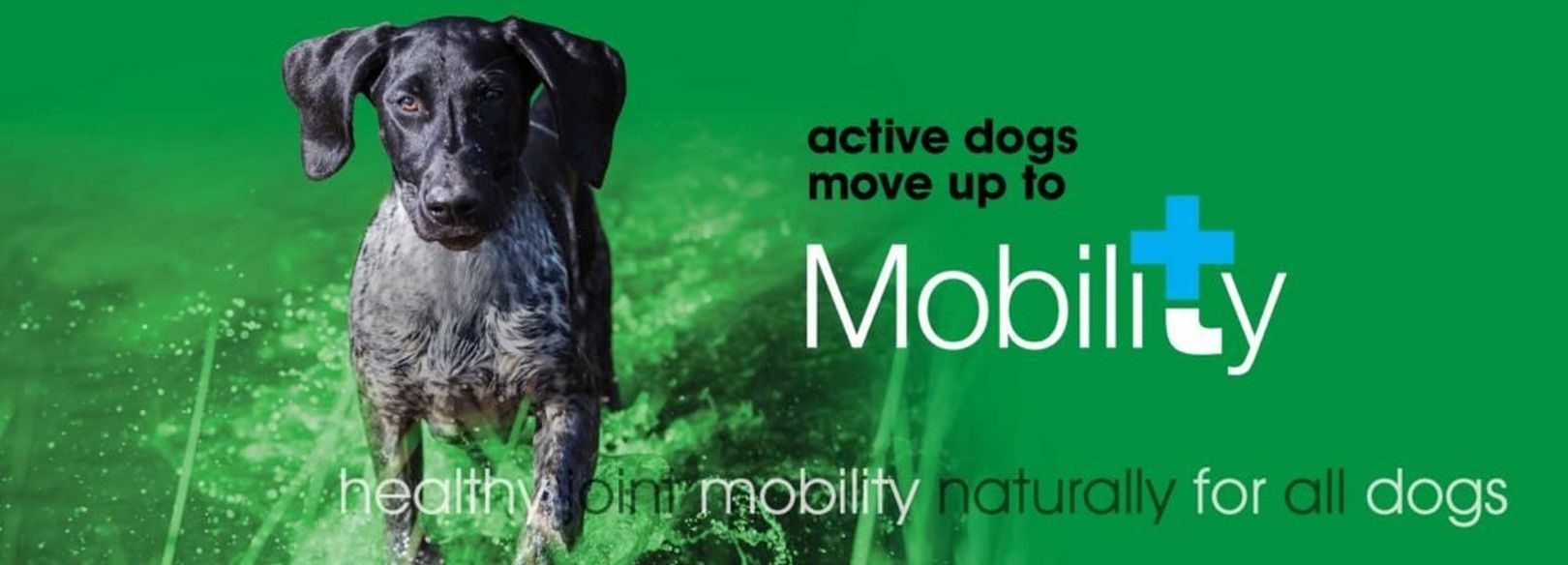 Natural VetCare Mobility Dog Joint Supplement