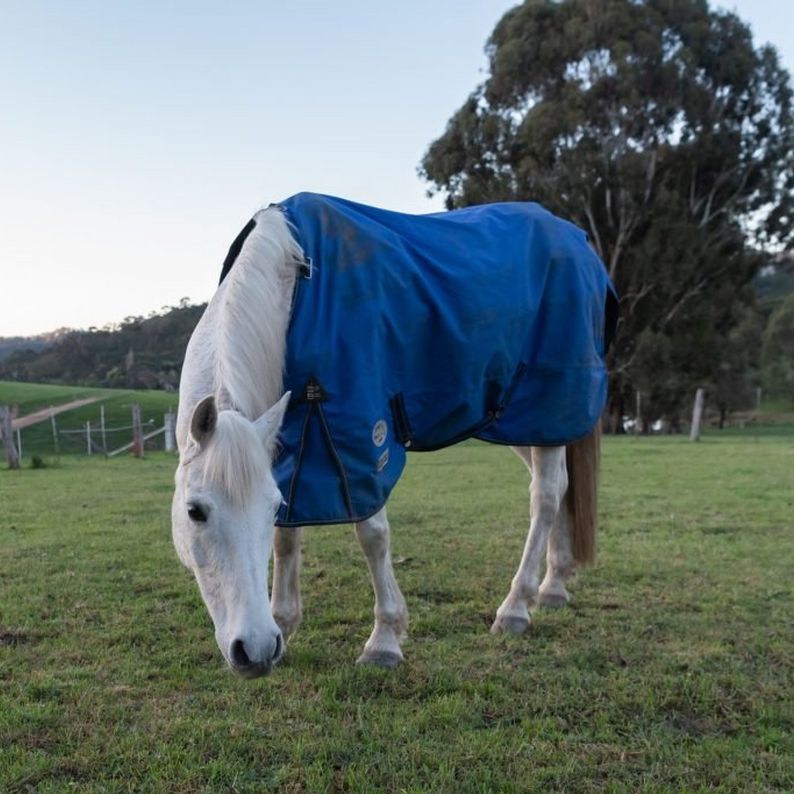 Horse Rug