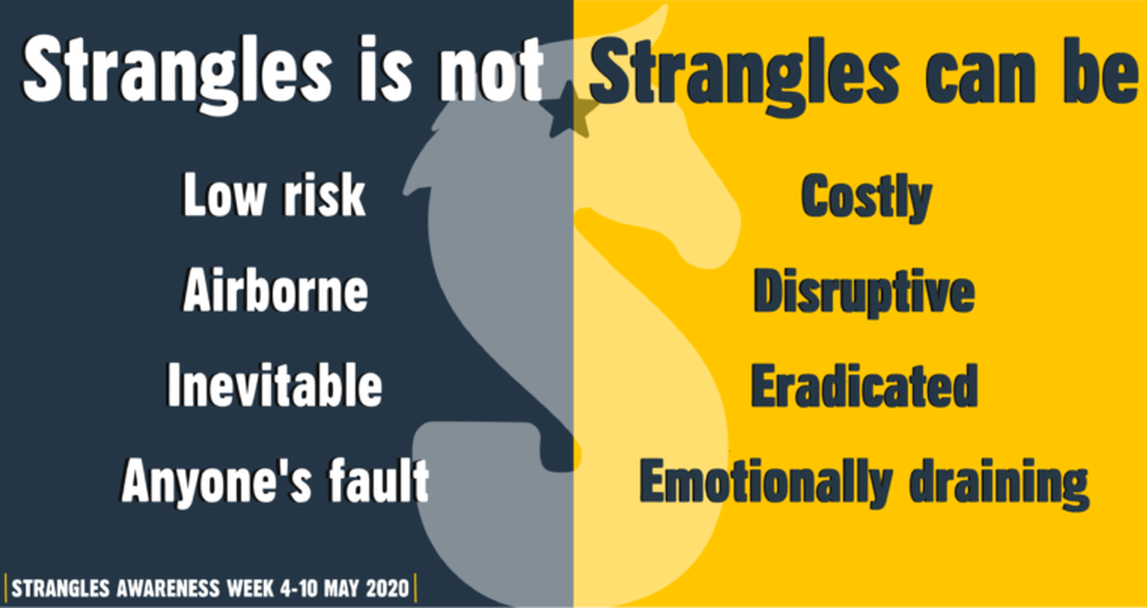 What is strangles?