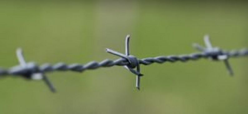 Turnout Managment  - Barbed wire.
