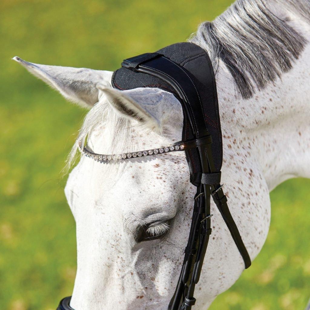 Horse Transport Poll