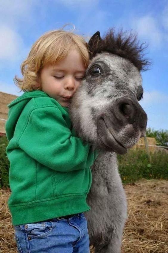 The art of reading body language