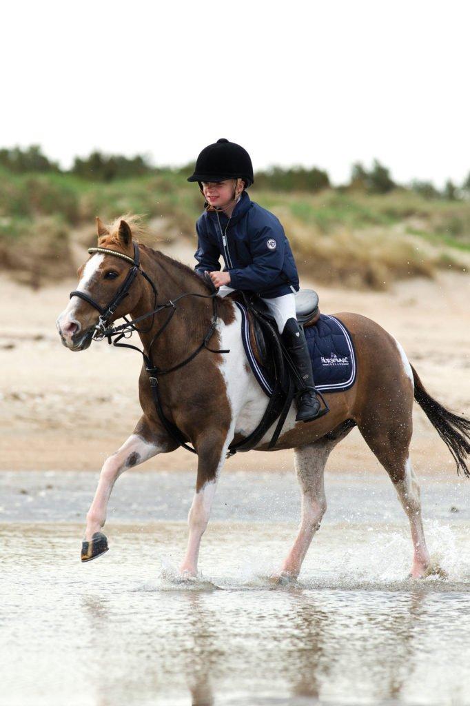 Take life by the reins... you're in charge!