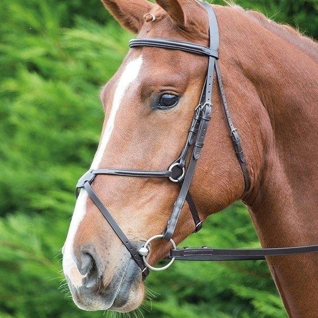 Aviemore Luxurious Leatherwork Naylors Blog Naylors