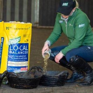 Baileys Lo-Cal Balancer for Good-doers