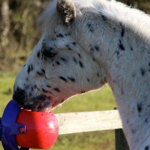 Stable & Pasture Toys for Good-doers