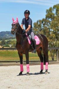 Exercise To Get Your Horse Fit