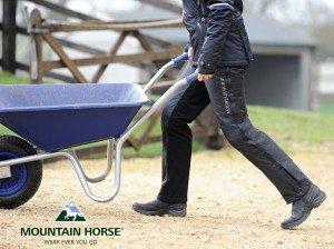 Horse Riding – Just How Good Is Horse Riding For Our Health?