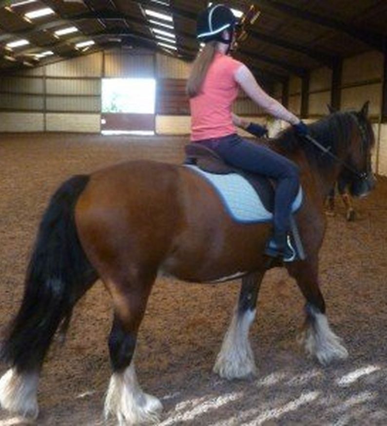 Horse Riding – Just How Good Is Horse Riding For Our Health?