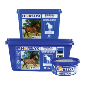 Horslyx Original Range